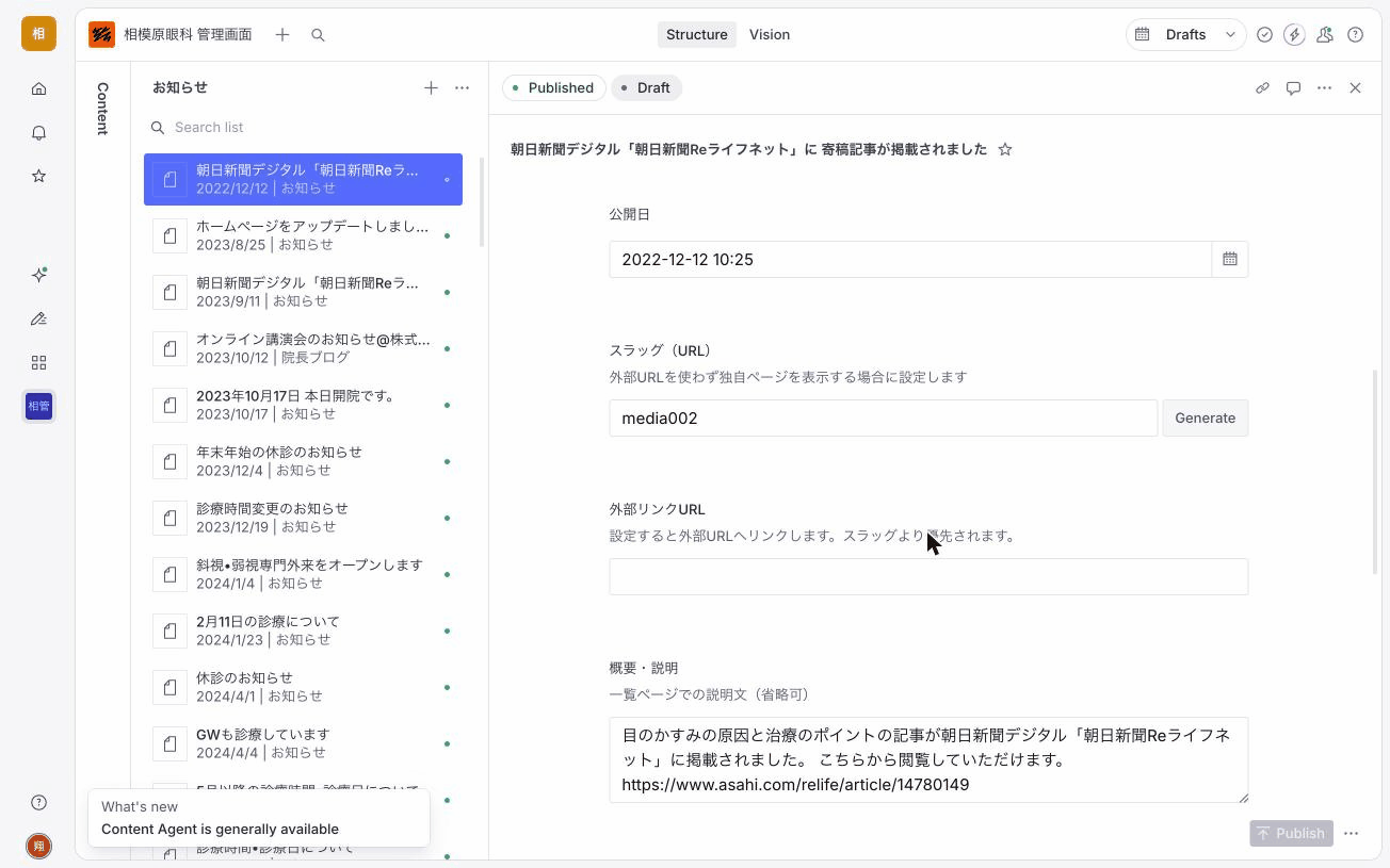 スラッグ・外部URL・概要フィールド
